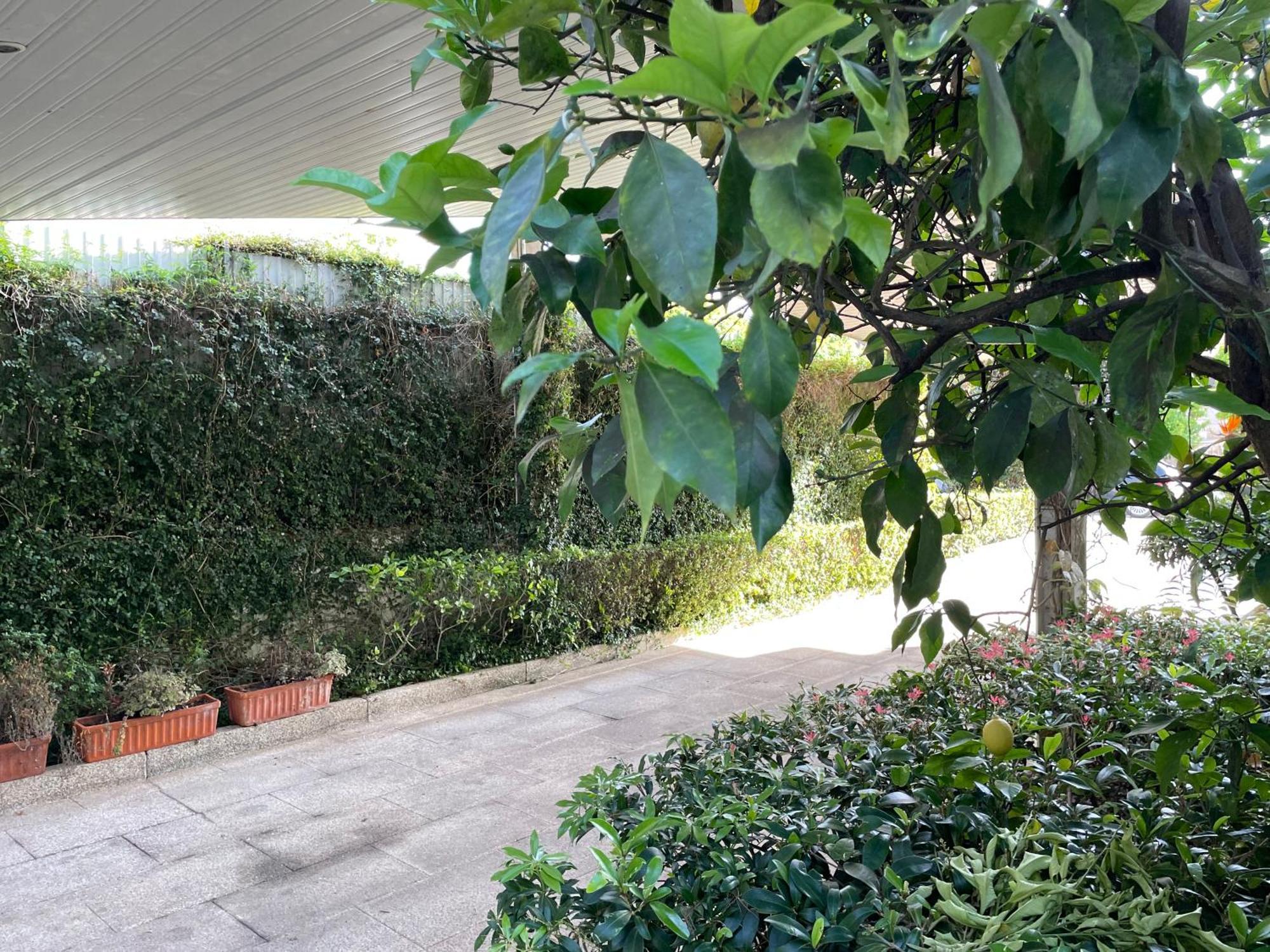 Casa Do Paco Villa Guimarães Екстериор снимка